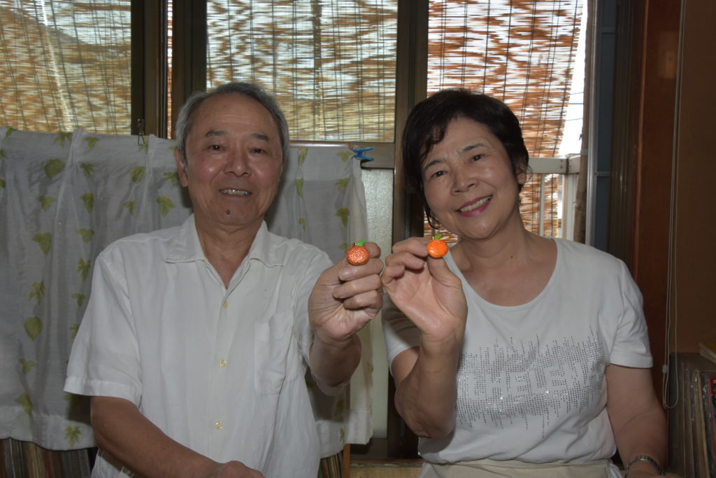参院選トピックス 熱いエールに勇気百倍胸元に輝くなっちゃんバッジ 公明党葛飾総支部公式サイト